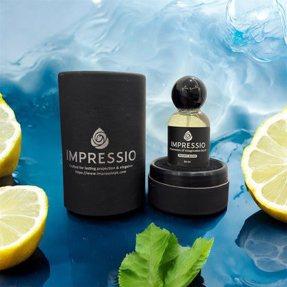 impression of Imagination by LV